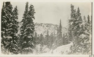 Image of Brook bed in wintertime and Henderson mountain